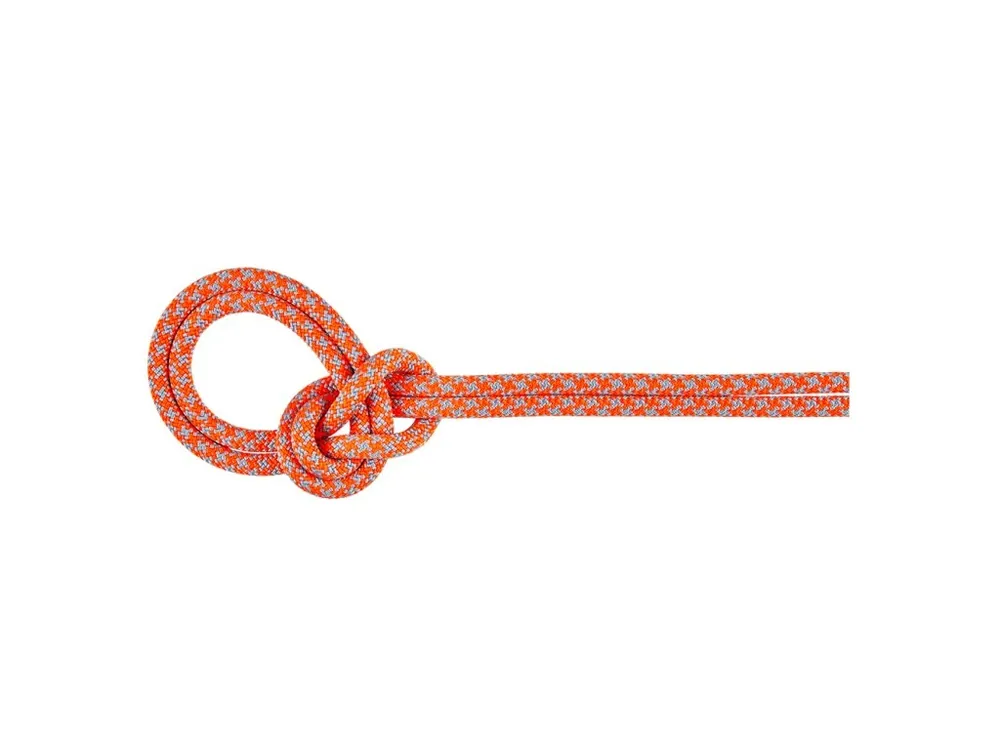 Koupit Online Mammut 8.7 Crag Sender Dry Rope
