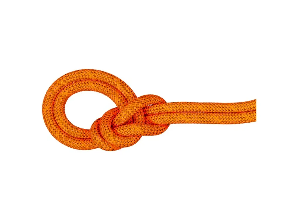 Levný Mammut 9.8 Crag Dry Rope