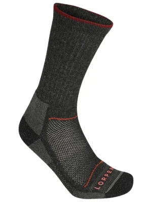 Lorpen MERINO HIKER 2 PACK ECO Koupit Online