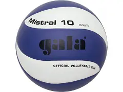 Volejbalový míč GALA Mistral 10 BV 5661 S Koupit Online