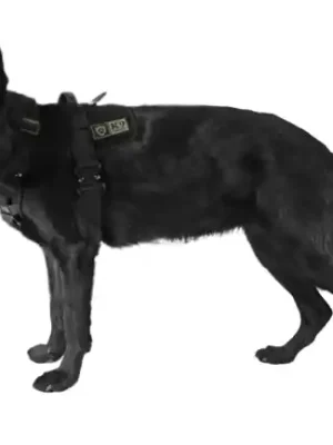 Akční Nabídka K9 Thorn postroj Delta, černý