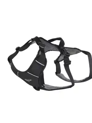 Postroj pro zvířata Mountain Paws S Must-Have