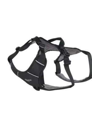 Akční Nabídka Postroj pro zvířata Mountain Paws L