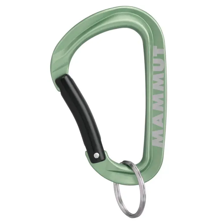 Jen Po Omezenou Doba karabinka MAMMUT Mini Carabiner WORKHORSE Keylock L Jade