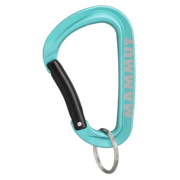 karabinka MAMMUT Mini Carabiner WORKHORSE Keylock L Turquoise Nejlepší Volba