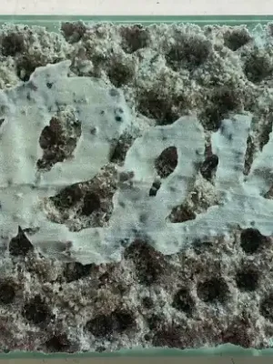 REX 604 Akrylová škrabka, special design, 5mm Originální