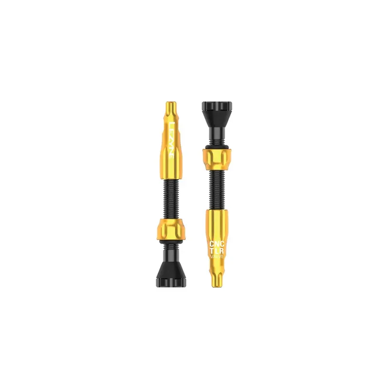 Lezyne CNC TLR VALVE černá/zlatá Cenový Hit