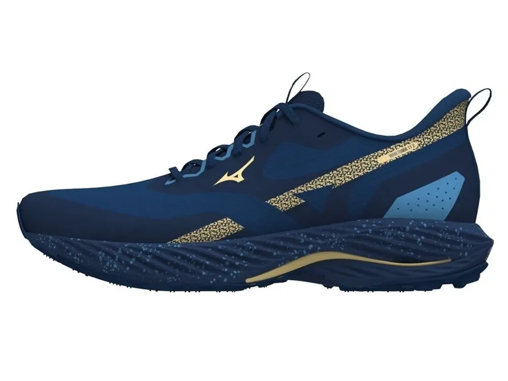 Výprodej Boty Mizuno Wave Rider TT 2 J1GC243201